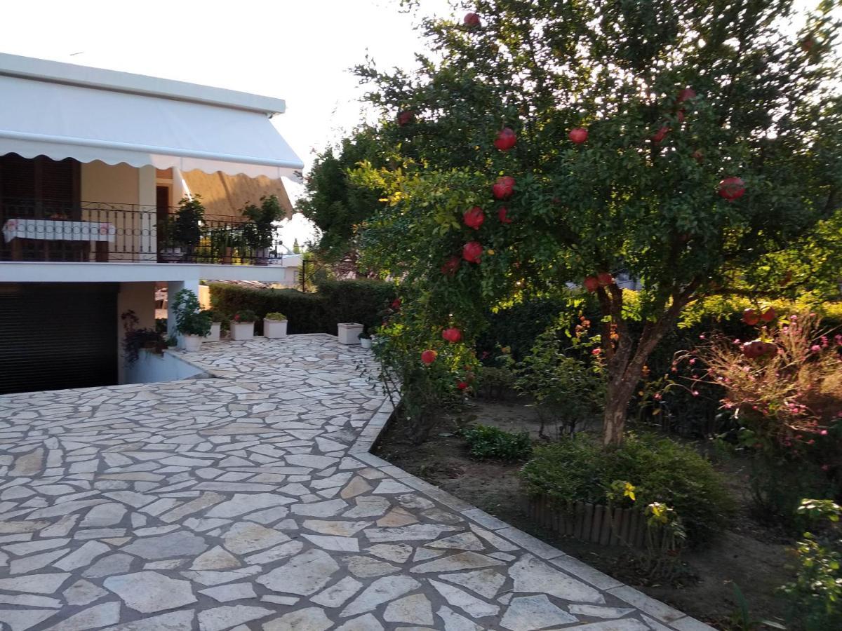 Ήσυχο σπίτι στη Ναύπακτο Διαμέρισμα Ναύπακτος Εξωτερικό φωτογραφία